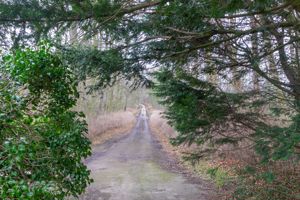 Photo 18- click for photo gallery